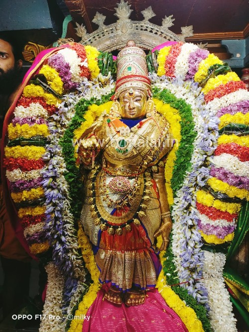 மாணிக்கவாசகர் உற்சவம் – ஒன்பதாம் நாள் மாலை