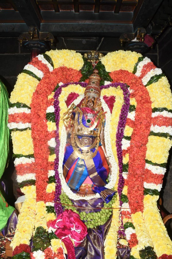 திருவண்ணாமலை அருள்மிகு ஶ்ரீ அருணாச்சலேஸ்வரர் திருக்கோயில் – திருவூடல் உற்சவம் 2022!