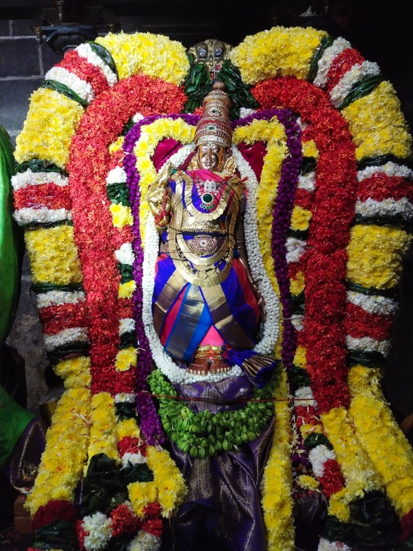 அருள்மிகு அருணாசலேஸ்வரர் திருக்கோயில் – திருவூடல் மகா உற்சவம்!