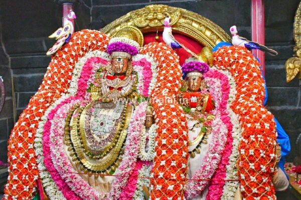 திருவண்ணாமலை அருள்மிகு அருணாசலேஸ்வரர் திருக்கோயில் சித்திரை வசந்த உற்சவம் – Day 6