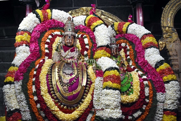 திருவண்ணாமலை அருள்மிகு அருணாசலேஸ்வரர் திருக்கோயில் சித்திரை வசந்த உற்சவம் – Day 7