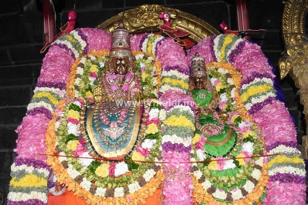 திருவண்ணாமலை அருள்மிகு அருணாசலேஸ்வரர் திருக்கோயில் சித்திரை வசந்த உற்சவம் – Day 2