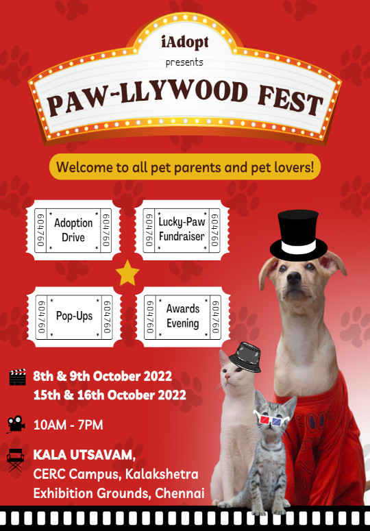 Paw-llywood Fest – give furry friends a home!