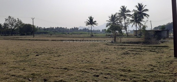 கலசபாக்கம் அடுத்த வில்வாரணி பகுதியில் விவசாய நிலம் குத்தகைக்கு!