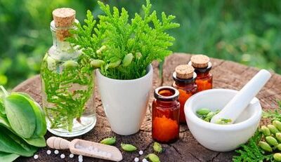 How to Apply for Homeopathic Medicines Licence (DCA-402) in Tamil Nadu