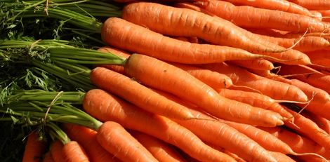 Are Carrots Good for Weight Loss? Here’s What You Should Know
