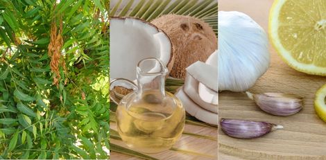 How to Get Rid of Head Lice Naturally: Easy Home Solutions
