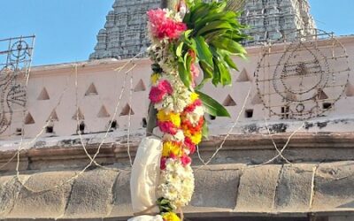 அண்ணாமலையார் கோயிலில் வசந்த உற்சவத்திற்கான பந்தக்கால் நடப்பட்டது!