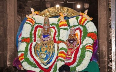 திருவண்ணாமலை அருள்மிகு அருணாசலேஸ்வரர் திருக்கோயில் சித்திரை வசந்த உற்சவம் ஏழாம் நாள்!