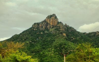 திருவண்ணாமலை மாவட்டத்தில் பர்வதமலை ஏற்றத்திற்கு புதிய வழிகாட்டு நெறிமுறைகள் அறிவிப்பு!